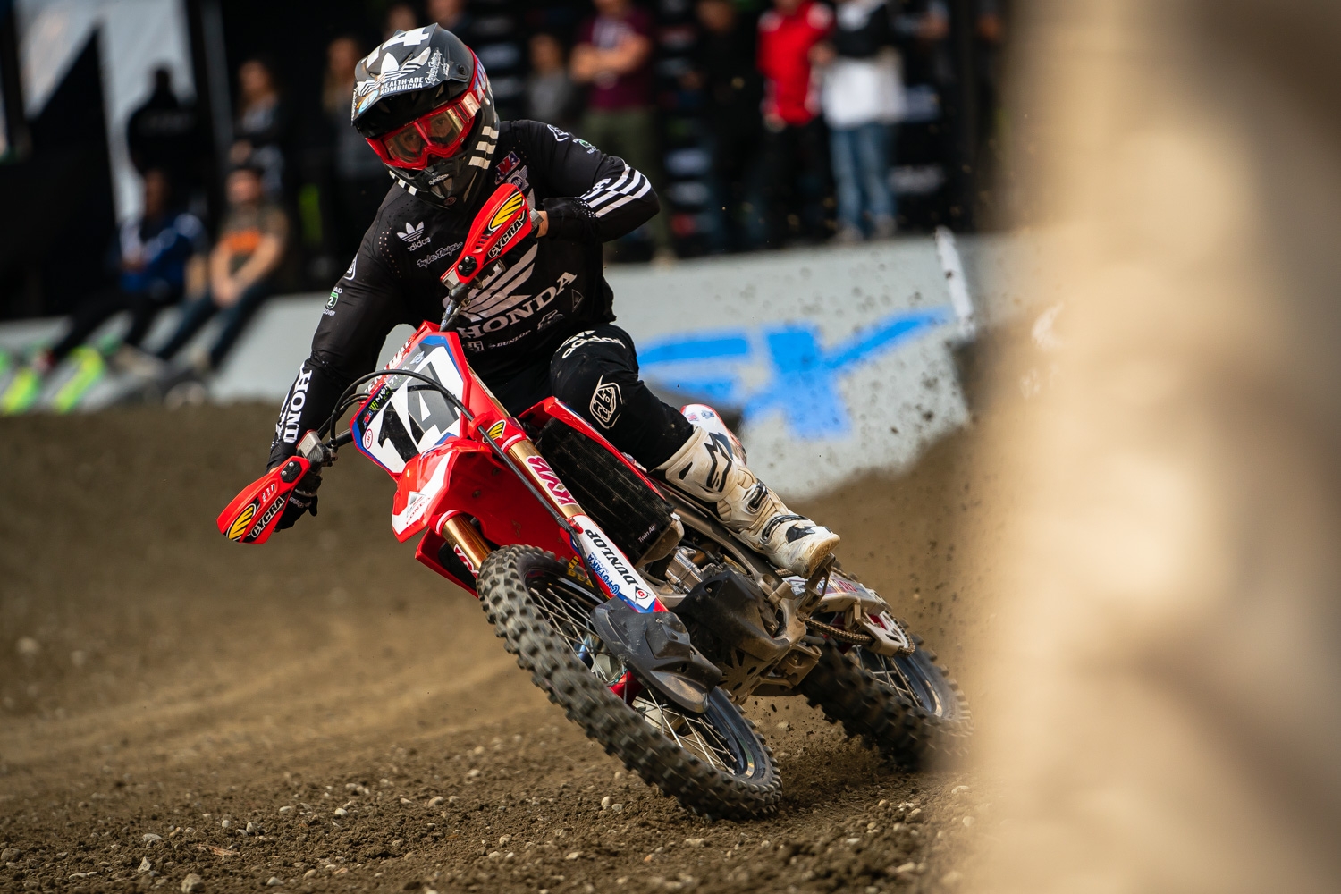 cole seely adidas